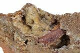 Limonite Pseudomorphs after Köttigite - Ojuela Mine, Mexico #219866-1